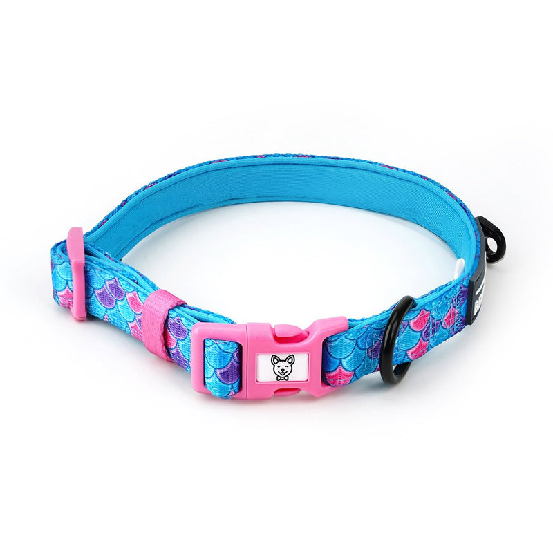 Mermaid Dog Collar - Beast & Buckle