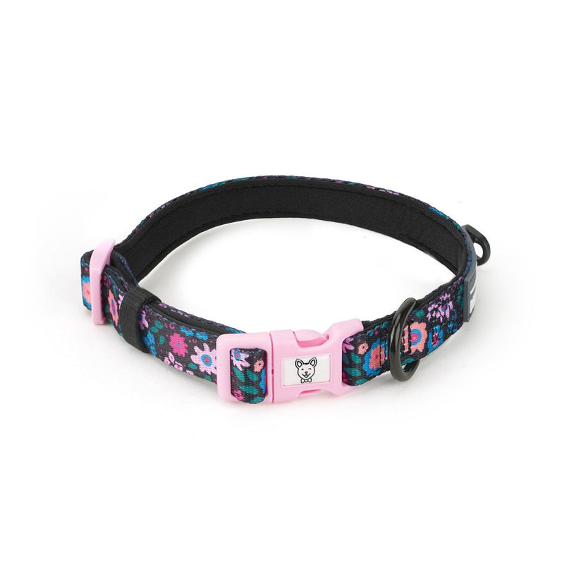 Midnight Garden Dog Collar - Beast & Buckle