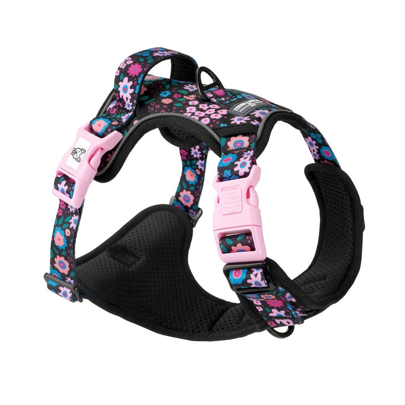 Midnight Garden No Pull Harness Bundle - Beast & Buckle