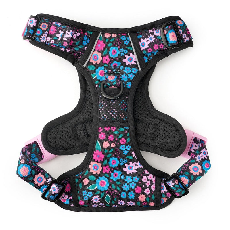 Midnight Garden No Pull Harness Bundle - Beast & Buckle