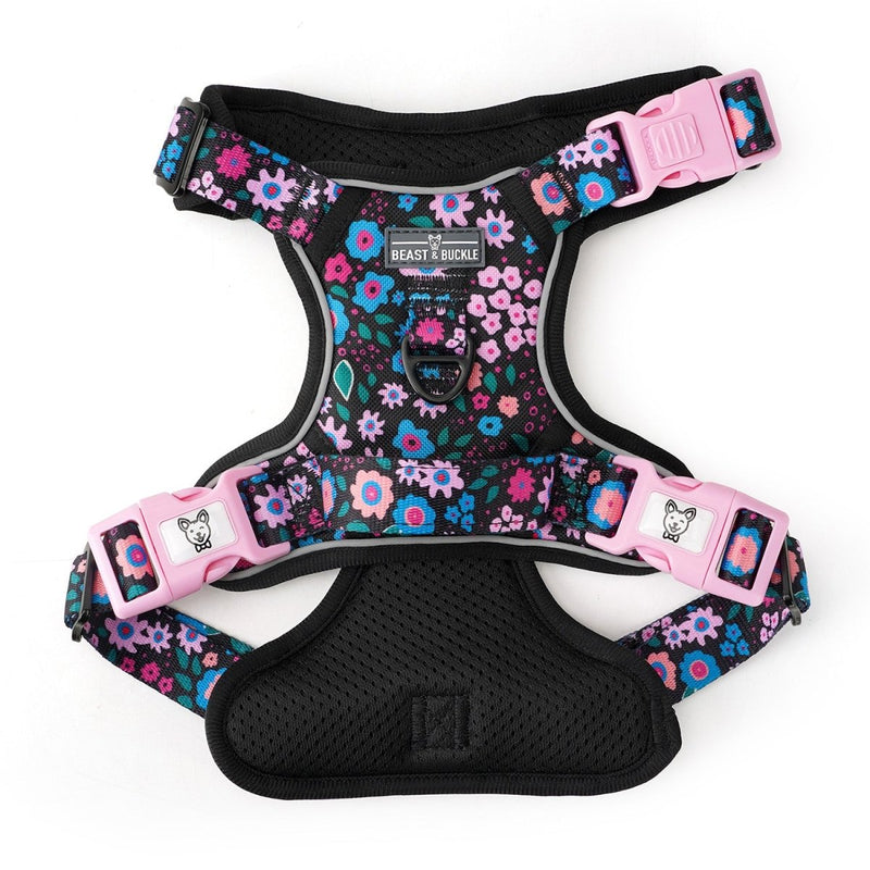 Midnight Garden No Pull Harness Bundle - Beast & Buckle