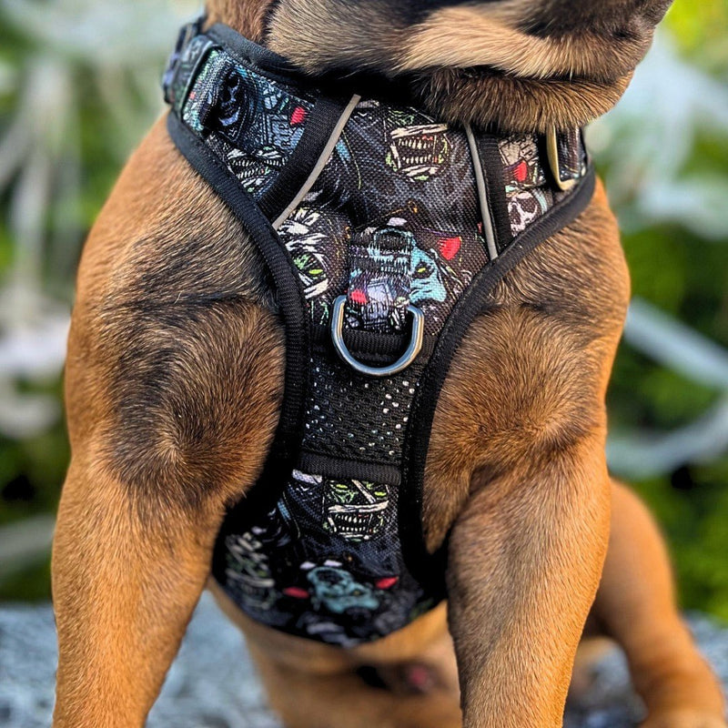 Monster Movie No Pull Dog Harness - Beast & Buckle