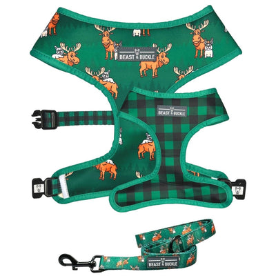 Moose Harness & Leash Set - Beast & Buckle