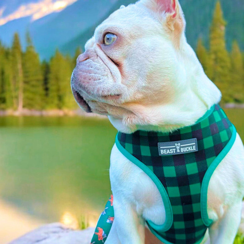 Moose Reversible Dog Harness 2.0 - Beast & Buckle