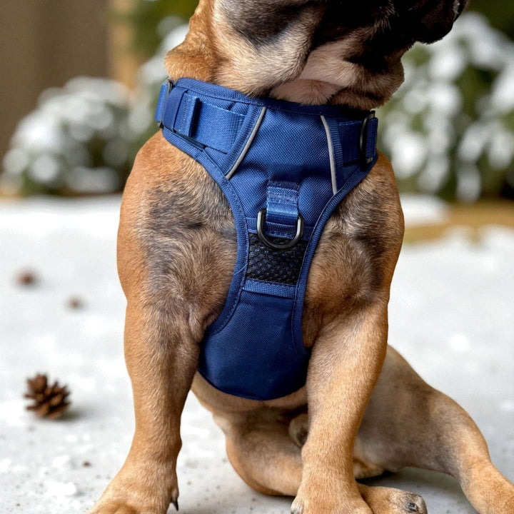 Puppia Blake Harness A For Dogs - Adjustable Over-the-Head Design, Checkered Navy, Size XL (Fits 22.4-31.5" Chest)
