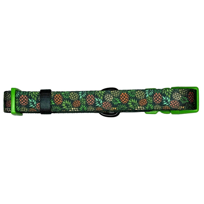 Pineapple Perfection Dog Collar - Beast & Buckle