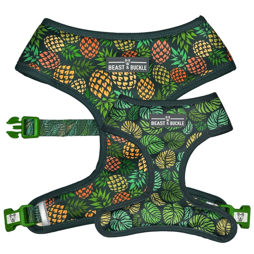 Pineapple dog harness deals