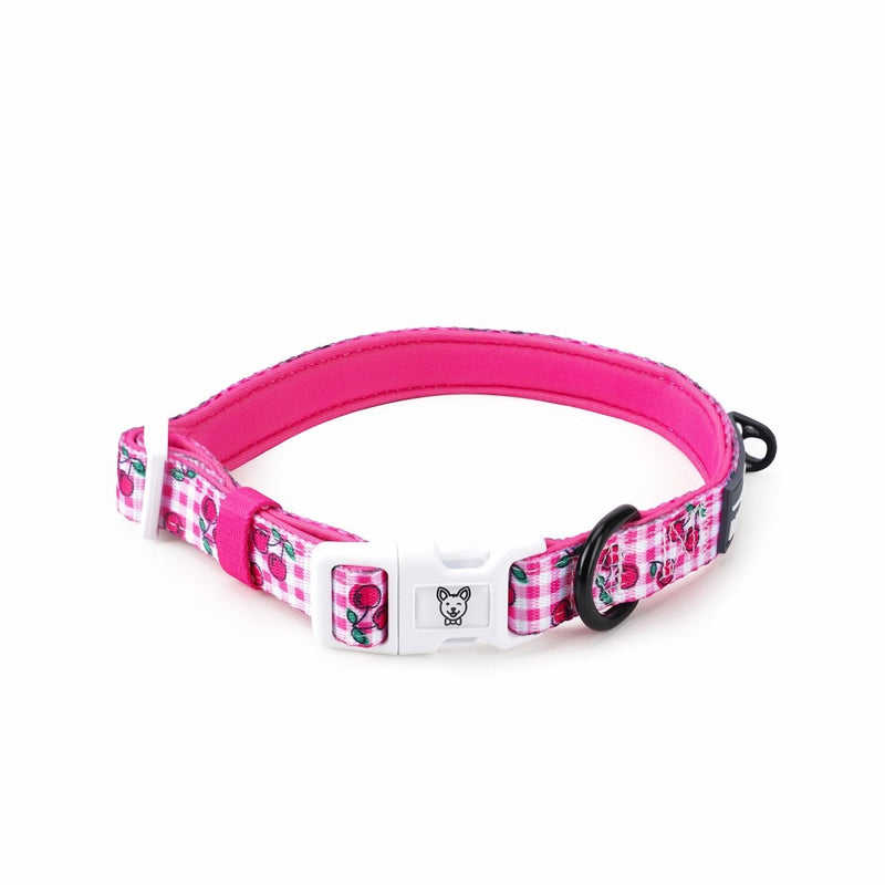 Pink Cherry Gingham Dog Collar - Beast & Buckle