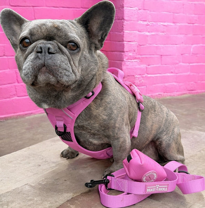 Pink No Pull Harness Bundle - Beast & Buckle