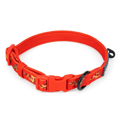 Pizza Dog Collar - Beast & Buckle