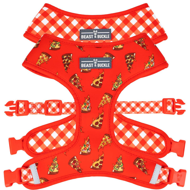 Pizza Harness and Leash Set - Beast & Buckle