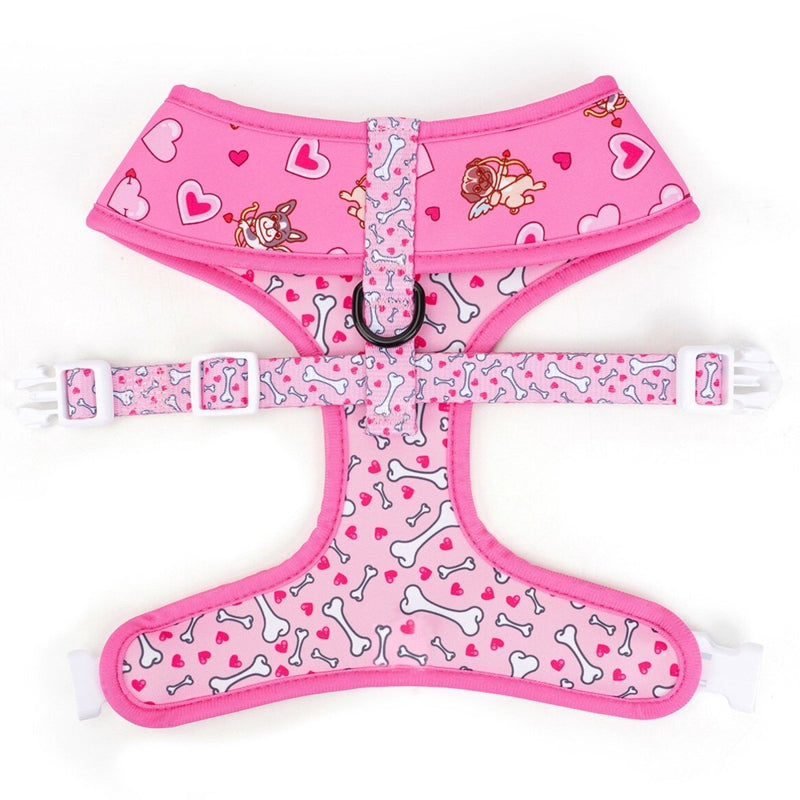 Puppy Love Harness & Leash Set - Beast & Buckle