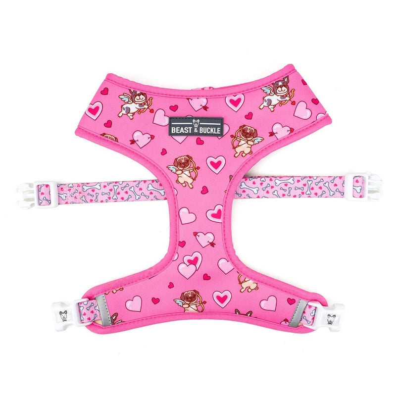 Puppy Love Harness & Leash Set - Beast & Buckle