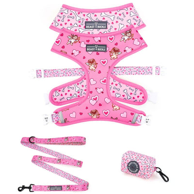 Puppy Love Walking Bundle - Beast & Buckle