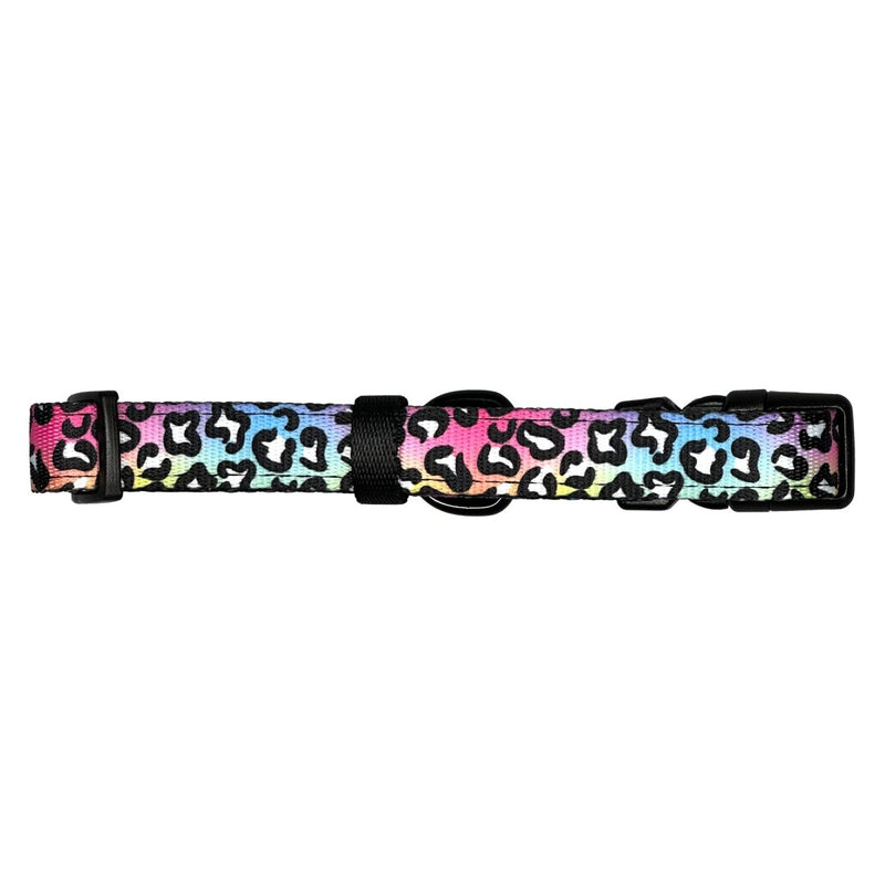 Rainbow Leopard Dog Collar - Beast & Buckle