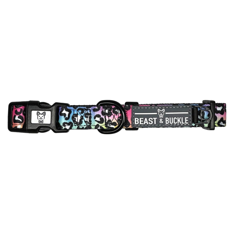 Rainbow Leopard Dog Collar - Beast & Buckle