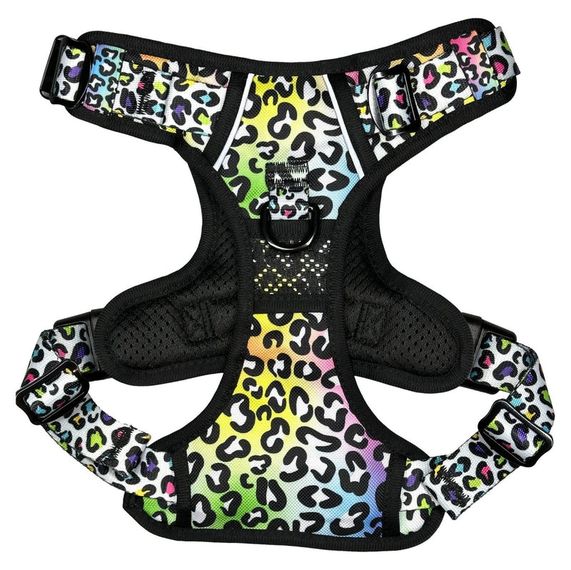 Rainbow Leopard No Pull Dog Harness - Beast & Buckle