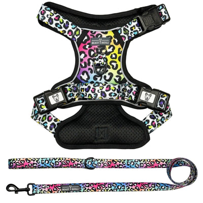 Rainbow Leopard No Pull Harness Bundle - Beast & Buckle