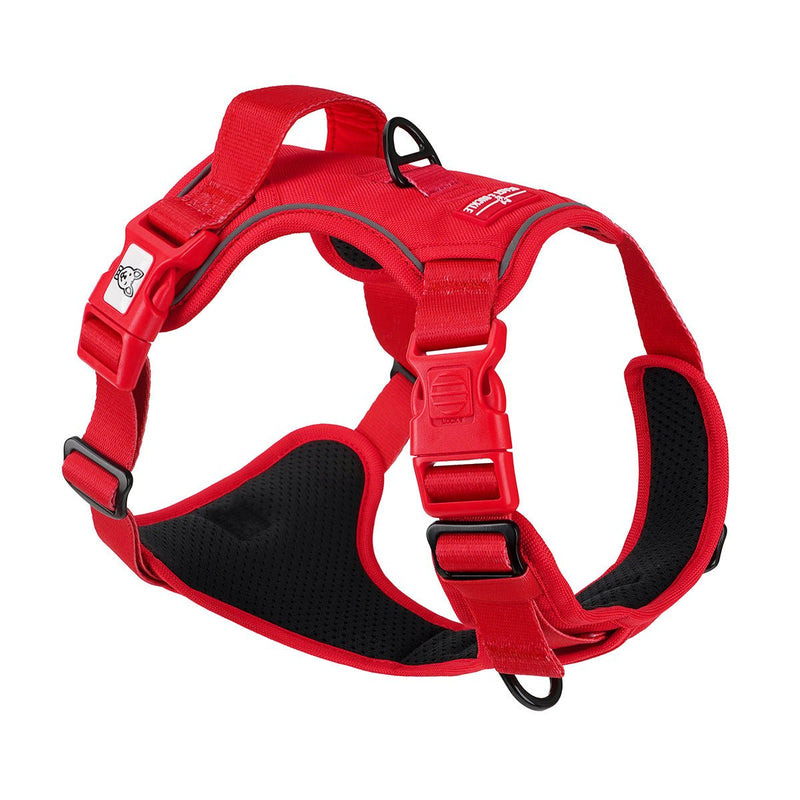 Red No Pull Harness Bundle - Beast & Buckle