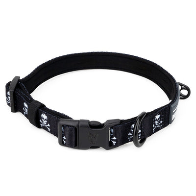 Skull & Crossbones Dog Collar - Beast & Buckle
