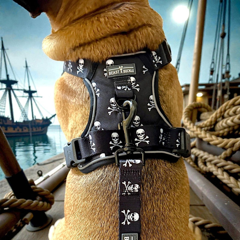 Skull & Crossbones No Pull Harness & Leash Bundle - Beast & Buckle