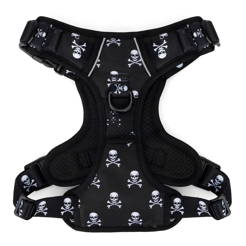 Skull & Crossbones No Pull Harness & Leash Bundle - Beast & Buckle