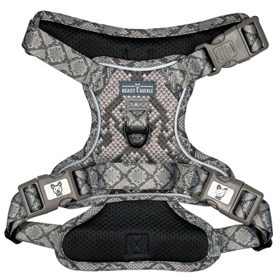 Snakeskin No Pull Dog Harness - Beast & Buckle