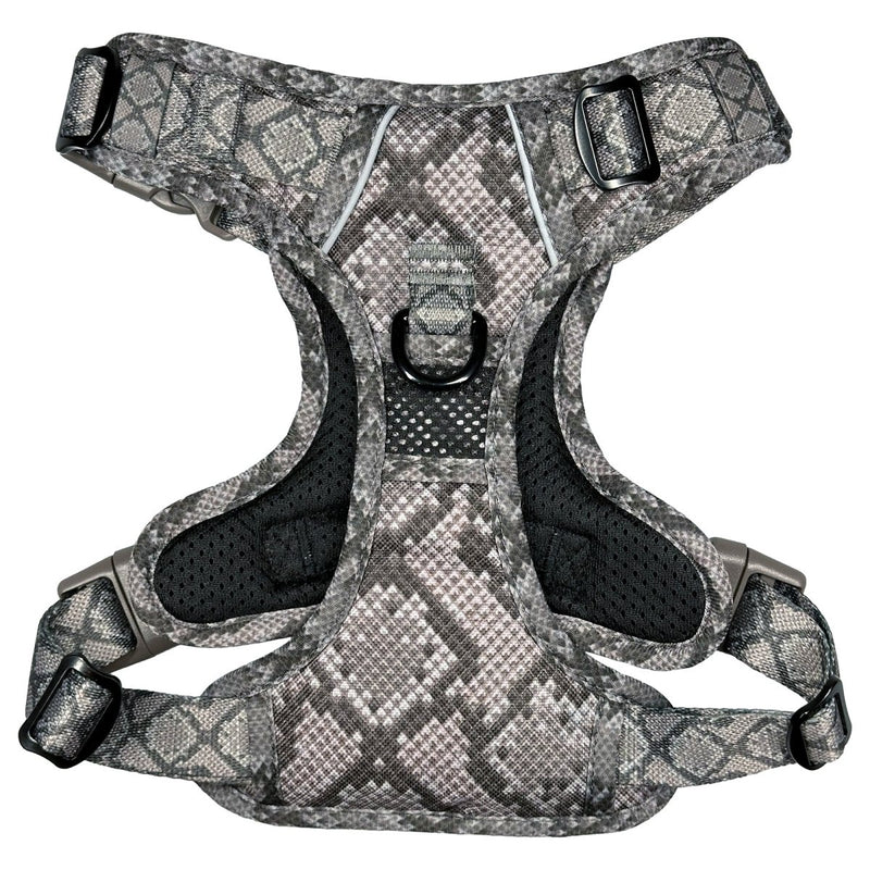 Snakeskin No Pull Dog Harness - Beast & Buckle