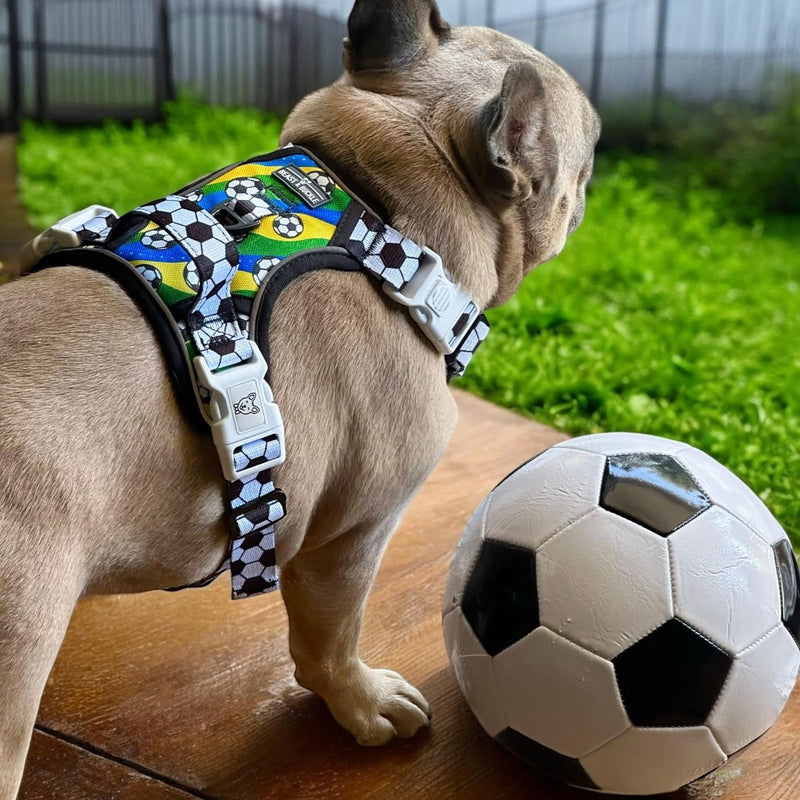 Soccer No Pull Harness Bundle - CLEARANCE - Beast & Buckle