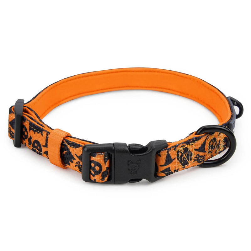 Spooky Dog Collar - Beast & Buckle