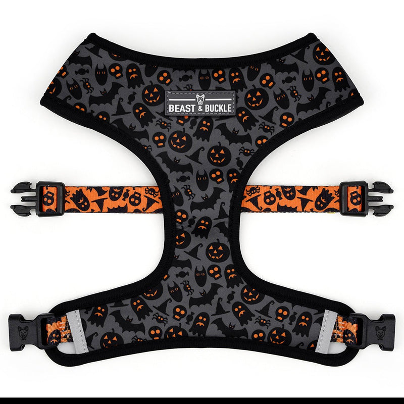 Spooky Harness and Leash Set - Beast & Buckle