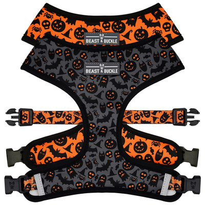 Spooky Harness and Leash Set - Beast & Buckle