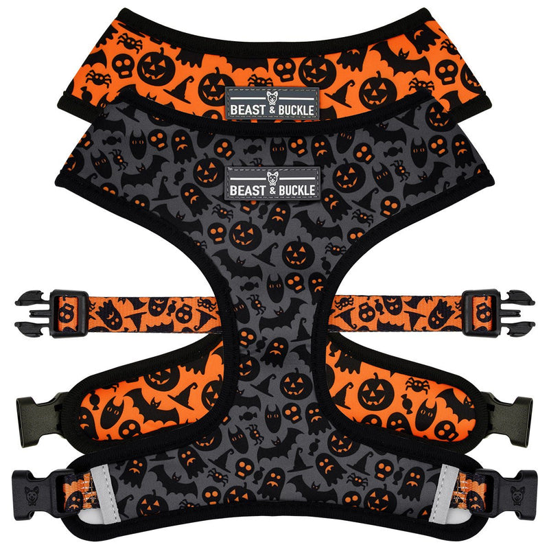 Spooky Harness and Leash Set - Beast & Buckle