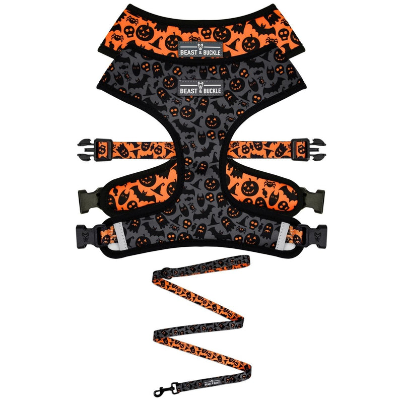 Spooky Harness and Leash Set - Beast & Buckle