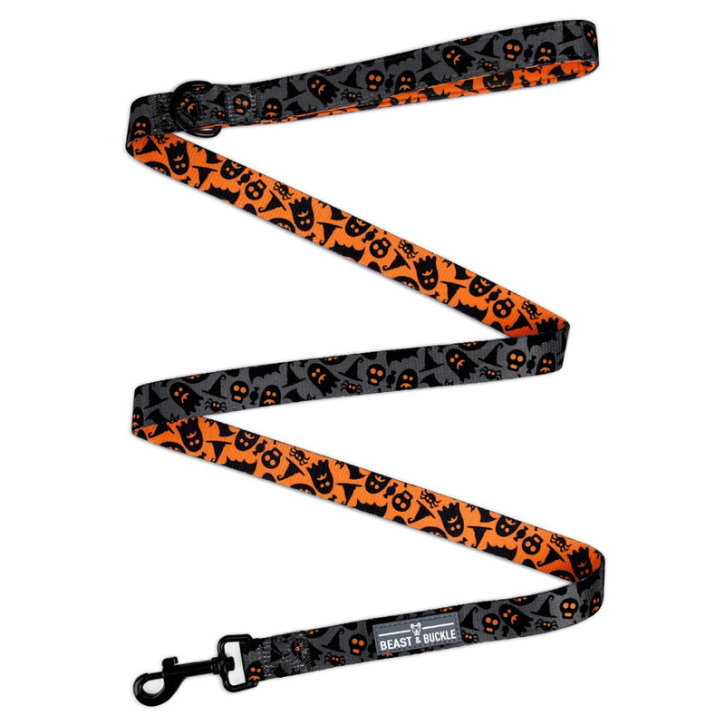 Spooky Harness and Leash Set - Beast & Buckle