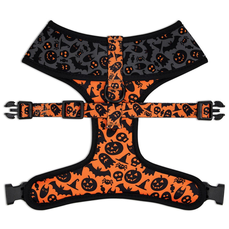 Spooky Harness and Leash Set - Beast & Buckle