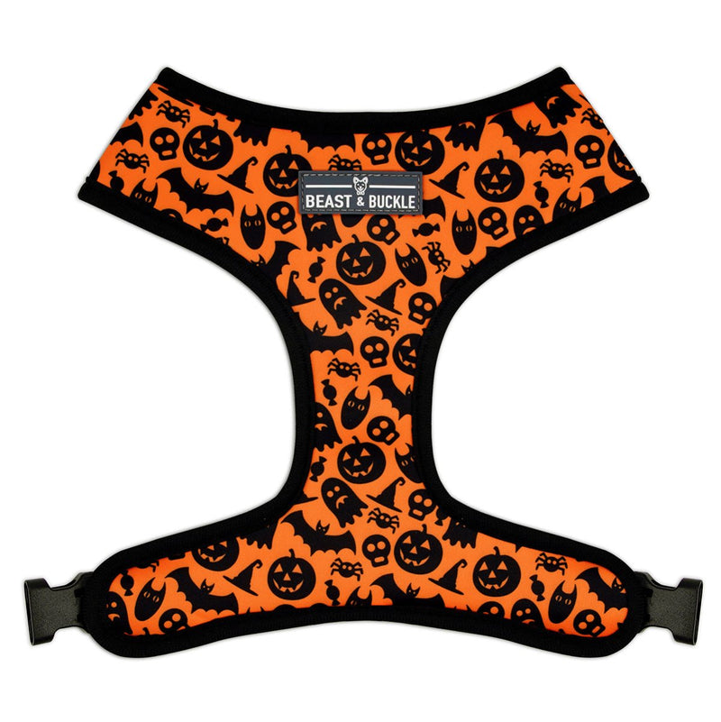 Spooky Harness and Leash Set - Beast & Buckle