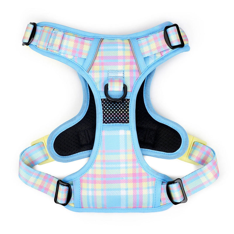 Spring Plaid No Pull Harness Bundle - Beast & Buckle