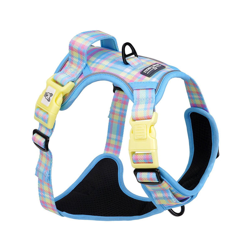 Spring Plaid No Pull Harness Bundle - Beast & Buckle