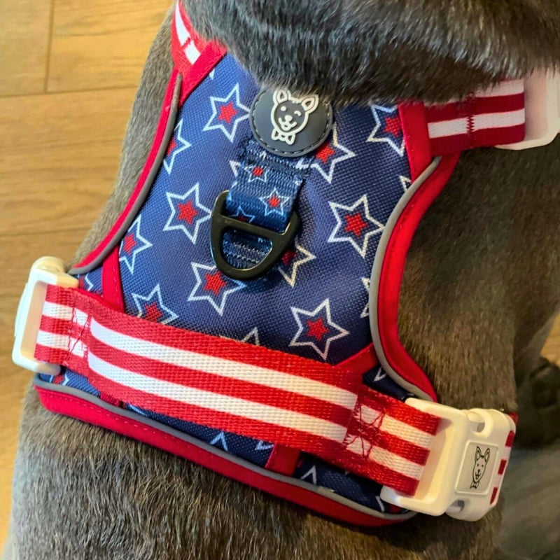 Stars & Stripes No Pull Dog Harness - Beast & Buckle