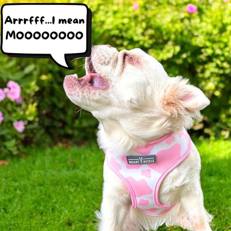 Strawberry Milk Harness and Leash Set - Beast & Buckle
