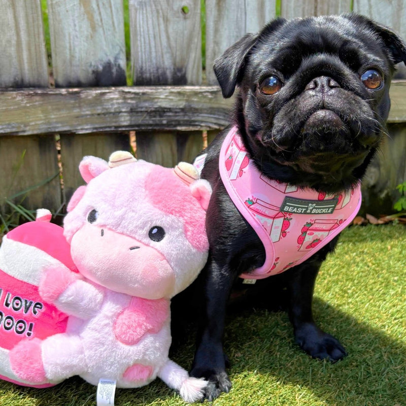Strawberry Milk Harness and Leash Set - Beast & Buckle