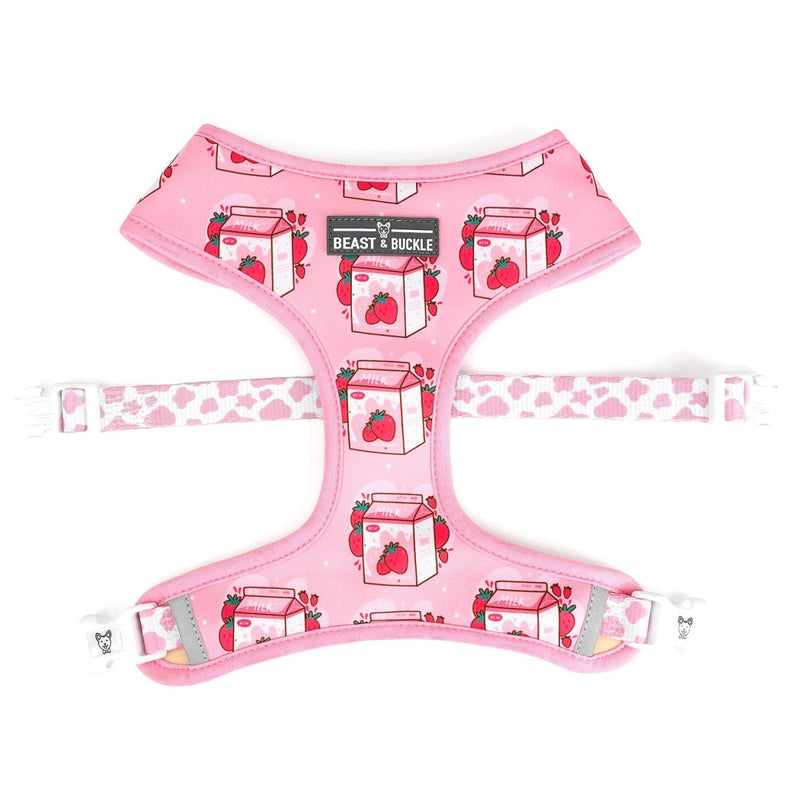 Strawberry Milk Harness and Leash Set - Beast & Buckle