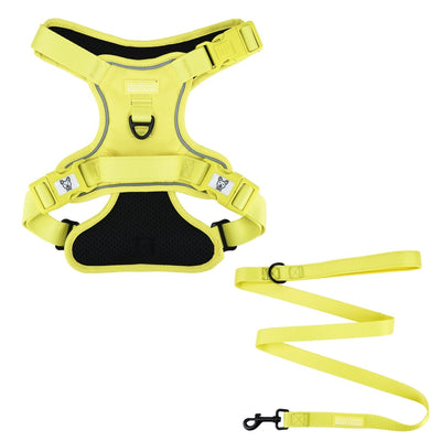 Summer Yellow No Pull Harness Bundle - Beast & Buckle
