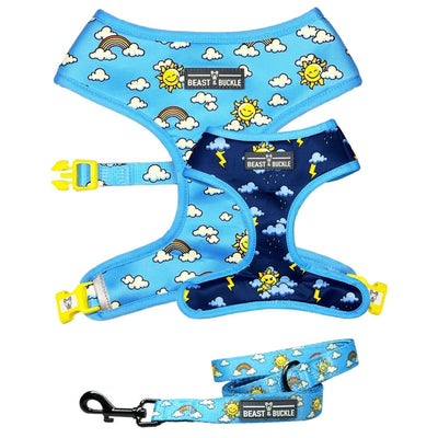 Sunny or Stormy Harness & Leash Set - Beast & Buckle