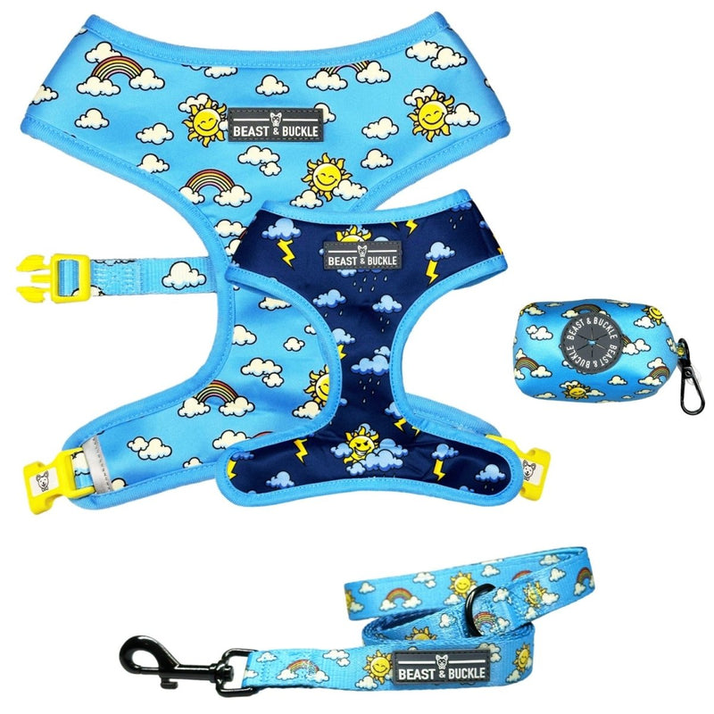 Sunny or Stormy Walking Bundle - Beast & Buckle