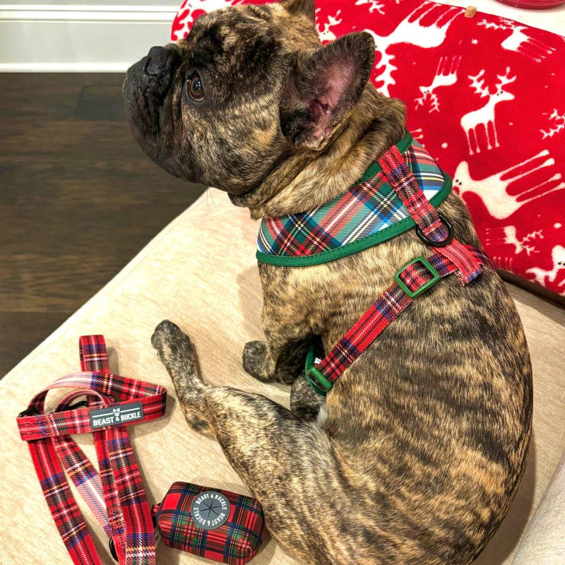 Tartan Plaid Harness & Leash Set - Beast & Buckle