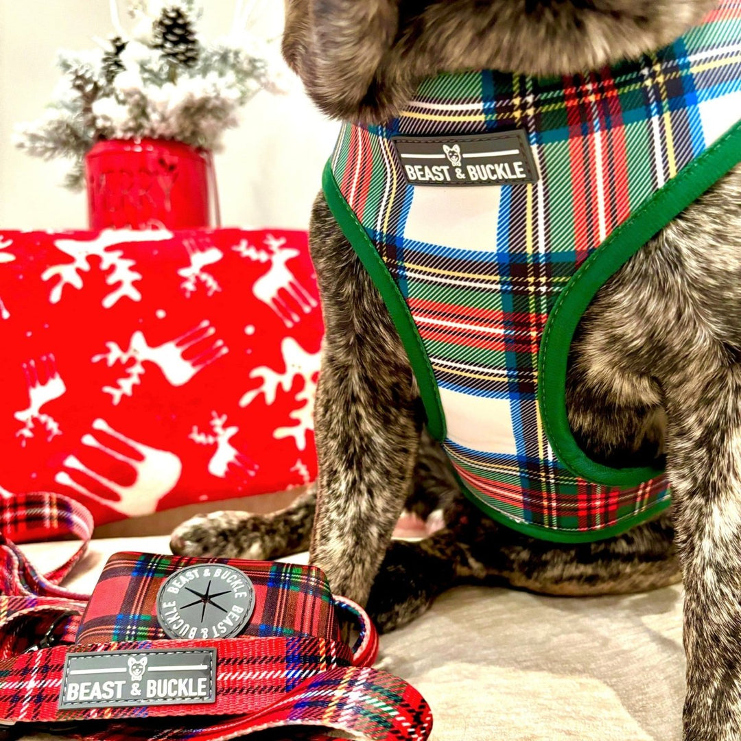 Tartan Plaid Harness Leash Set Beast Buckle