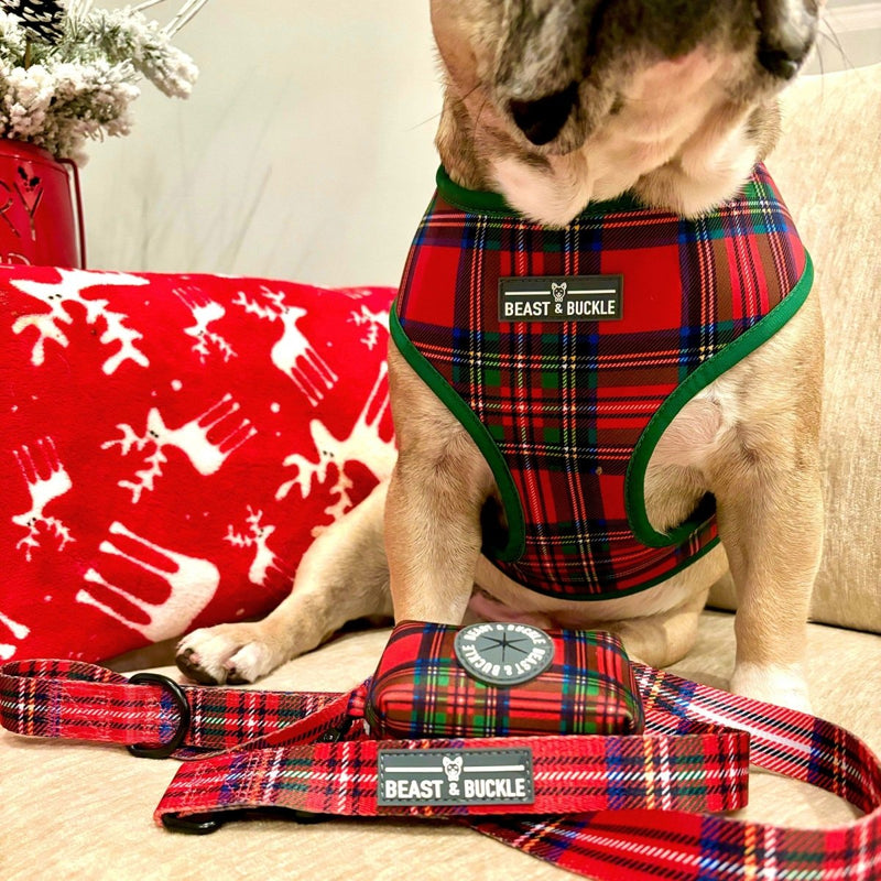 Tartan Plaid Harness & Leash Set - Beast & Buckle