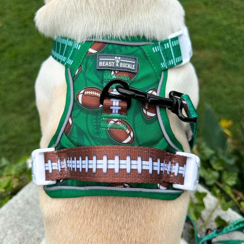 Touchdown No Pull Dog Harness - Beast & Buckle